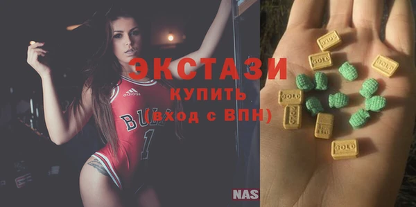 индика Богородицк