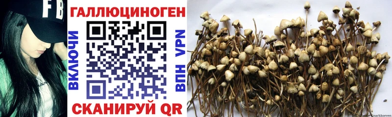 hydra сайт сколько стоит Зима Псилоцибиновые грибы мицелий